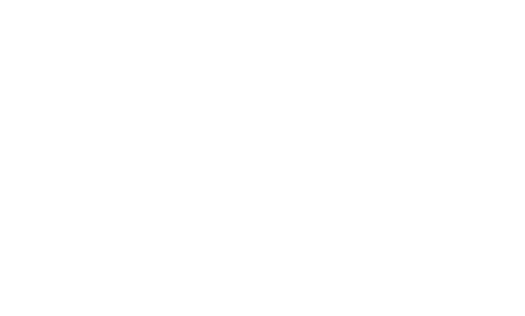 logo footer