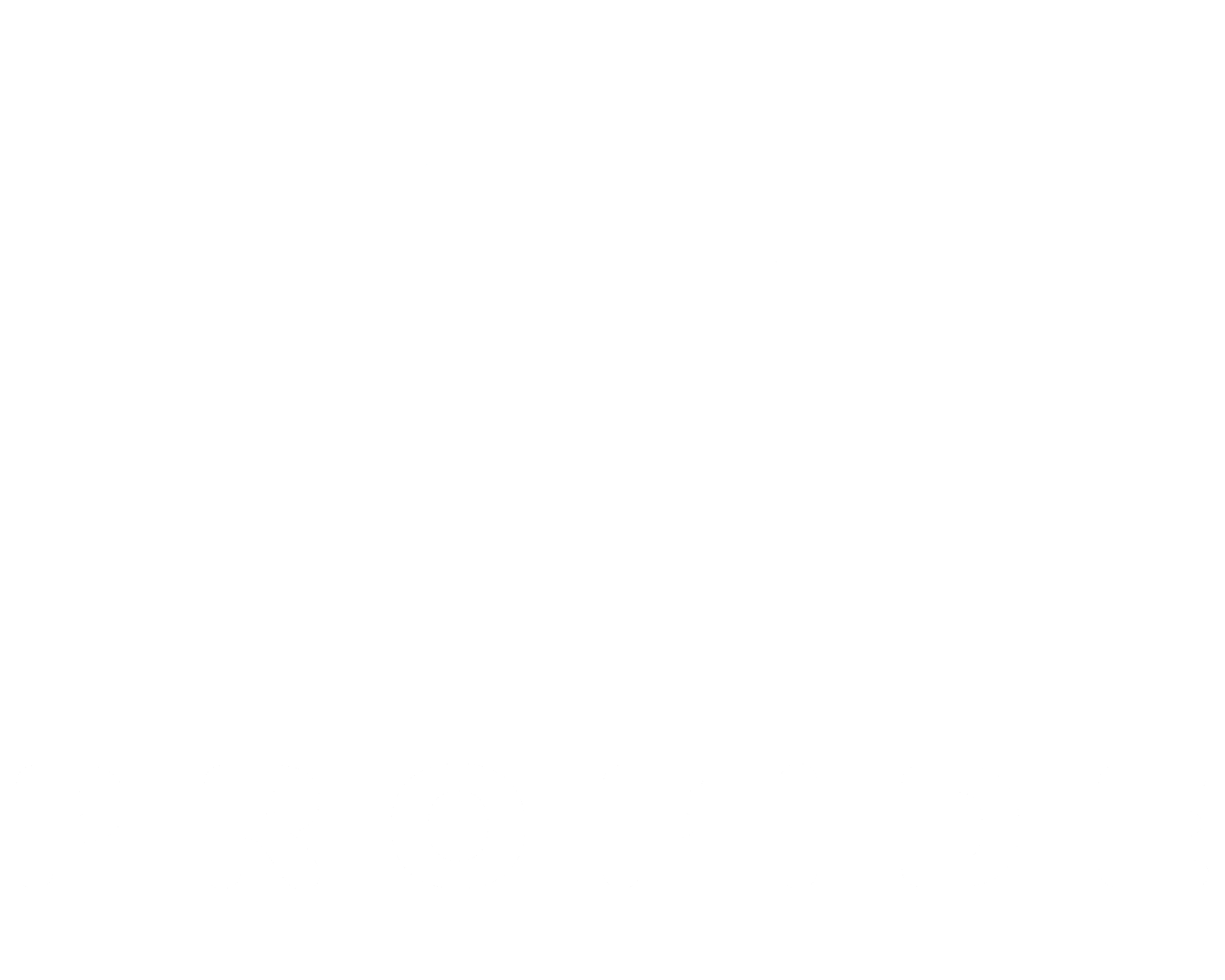 logo footer